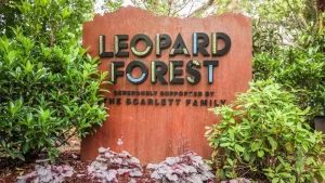 061925-nashville-zoo-1-jpg