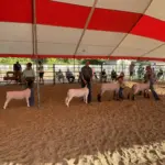 photo-jul-31-2025-6-32-46-pm