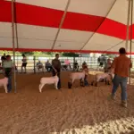 photo-jul-31-2025-6-33-27-pm