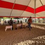 photo-jul-31-2025-6-33-29-pm