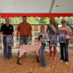 photo-jul-31-2025-6-37-09-pm