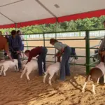 photo-jul-31-2025-6-45-30-pm