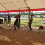 photo-jul-31-2025-6-46-18-pm