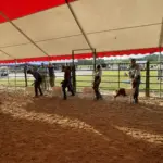 photo-jul-31-2025-6-46-25-pm