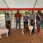 photo-jul-31-2025-6-53-54-pm