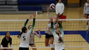 dsc_3009_cropped21262