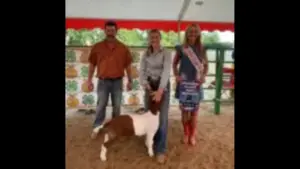 photo-jul-31-2025-6-48-39-pm-3