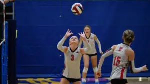 dsc_2863_cropped632031