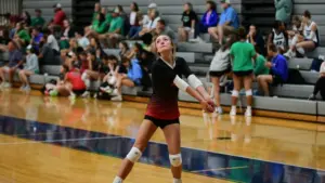 dsc_3106_cropped312789