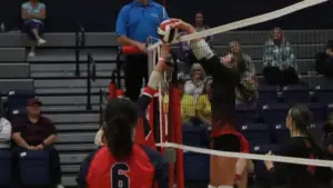 hop-cent-todd-cent-51-e1755834694282516701