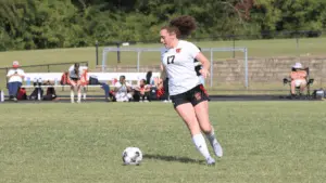 todd-a-e1757266225580735874