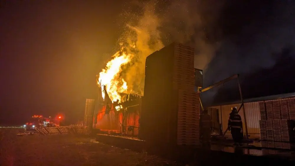 pxl_20250909_010713548-mp_copy_1000x563