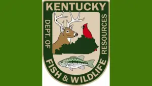 fish-and-wildlife-1-jpg-11