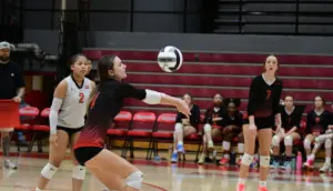 dsc_8924-e1760939959145890111