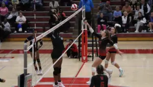 todd-fs-10-e1761016448147497157