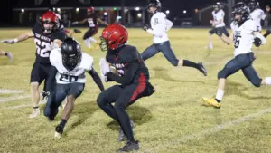 kbp_3116-e1761370266457893323