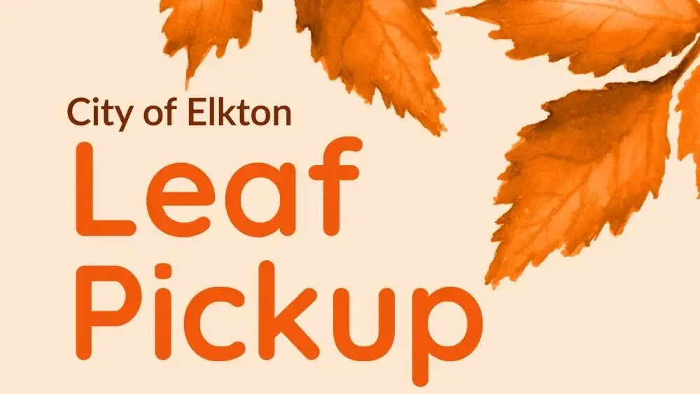 untitled-design2-2-59-25-am-2