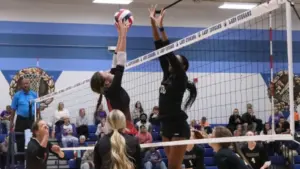 img_9329-e1761703623426159167