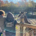 20251116_192610_80c47f