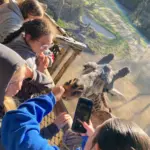 20251116_192610_819bc1