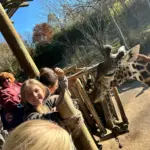 20251117_093555_8bedee