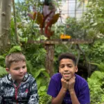 20251117_112735_827996