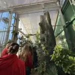 20251117_112913_8400f1