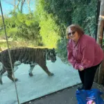 20251117_114309_8c87e0