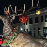 photo-dec-13-2025-5-25-40-pm