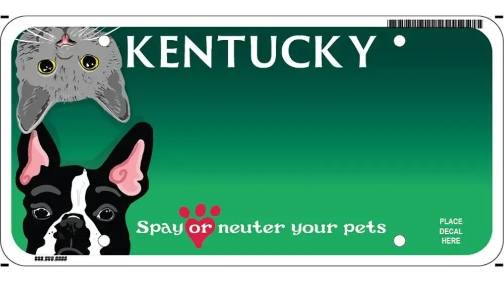 121725-spay-neuter-2-jpg