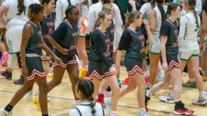 dsc08412-e1767050214811102740