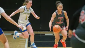 dsc08499-e1767084671836286098