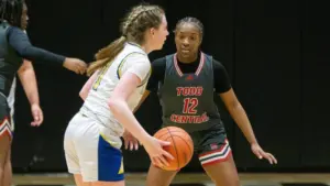 dsc08487-e1767084940556784017