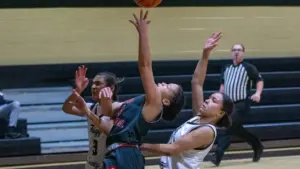 dsc08642-e1767123627929751013