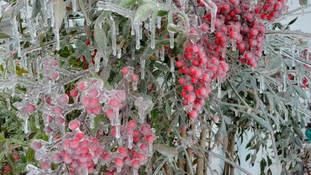 inbound6705188632879982766