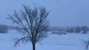 1-25-26-ice-storm-3-jpg