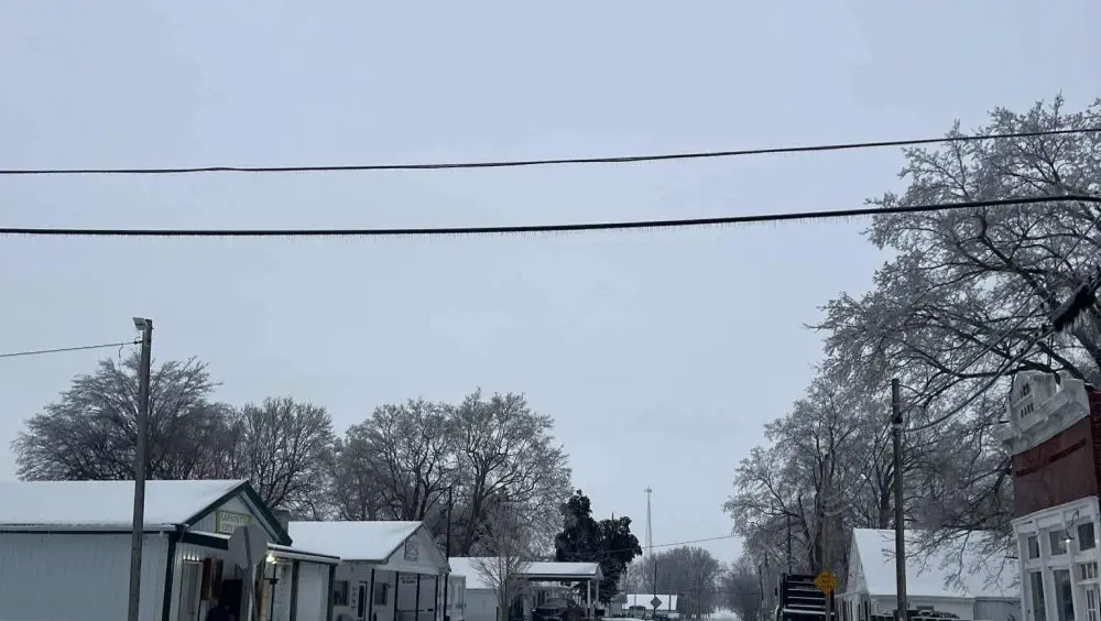 inbound7026064335251559829-jpg