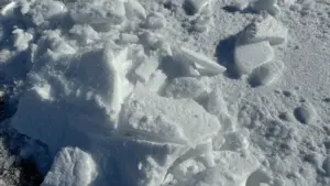 food-safety-during-a-5