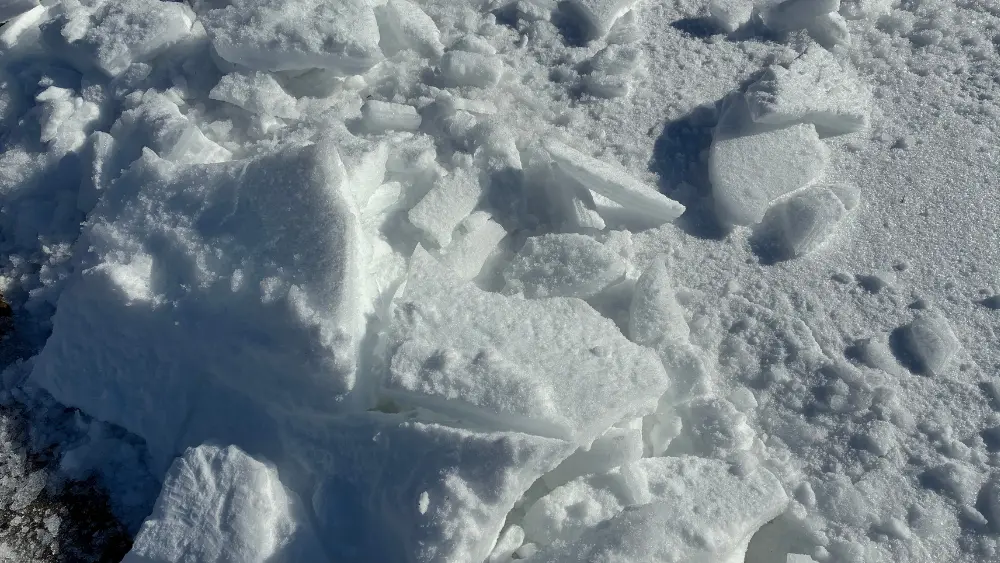 food-safety-during-a-5