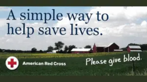 food-safety-during-a-6