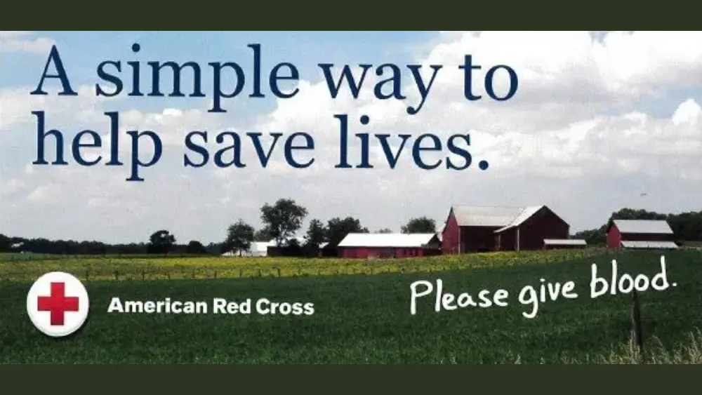 food-safety-during-a-6