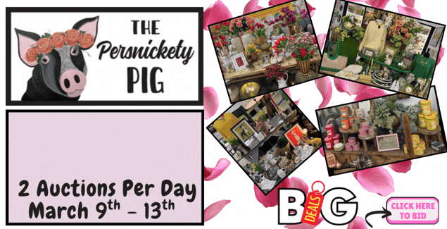 tpp-pp-bid-auction-slider-gif-3