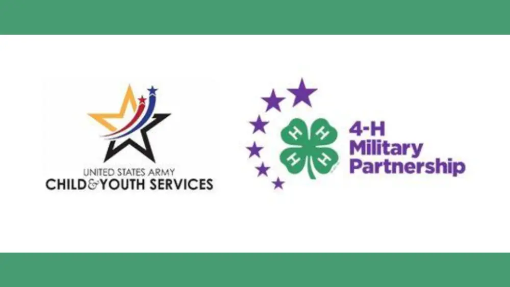 untitled-design-copy-2