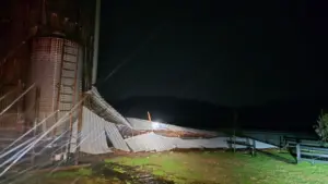 9006915016116981228_1000x563