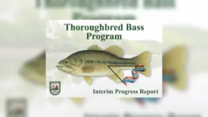thoroughbred-bass-program-2_crop_with_bgc-png