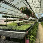 photo-mar-28-2026-10-46-02