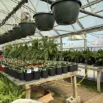 photo-mar-28-2026-10-46-06