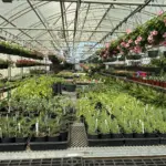 photo-mar-28-2026-10-46-22