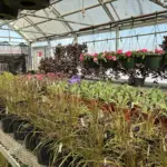 photo-mar-28-2026-10-47-09