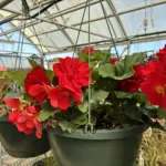 photo-mar-28-2026-10-47-20